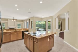 2228 EDELWEISS LOOP, TRINITY, FL 34655 - MLS#MFRTB8408735