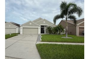 10633 Walker Vista Dr, RIVERVIEW