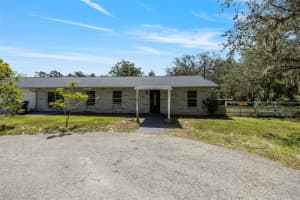 11202 TROTWOOD DRIVE, RIVERVIEW, FL 33578 - MLS#MFRTB8408775