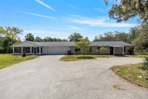 11202 TROTWOOD DRIVE, RIVERVIEW, FL 33578 - MLS#MFRTB8408775
