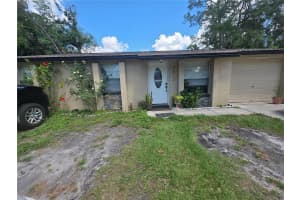 3612 TAMARIX DRIVE, TAMPA, FL 33619 - MLS#MFRTB8408865