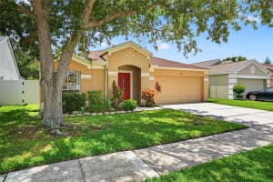 913 SUMMER BREEZE DRIVE, BRANDON, FL 33511 - MLS#MFRTB8408866
