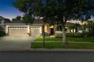 20111 TAMIAMI AVENUE, TAMPA, FL 33647 - MLS#MFRTB8408880