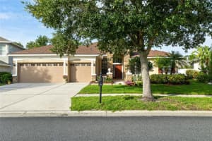 20111 TAMIAMI AVENUE, TAMPA, FL 33647 - MLS#MFRTB8408880