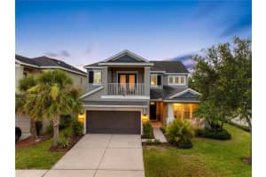 11614 Orange Palm Way, TAMPA