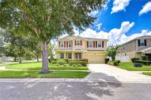 2499 Calvano Dr, LAND O LAKES
