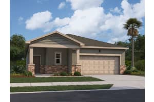 2437 Grey Hawk Dr, KISSIMMEE