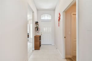 19521 MORDEN BLUSH DRIVE, LUTZ, FL 33558 - MLS#MFRTB8408982