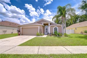 24510 LANDING DRIVE, LUTZ, FL 33559 - MLS#MFRTB8408992