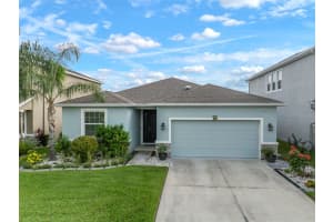 32747 ANSLEY BLOOM LANE, WESLEY CHAPEL, FL 33543 - MLS#MFRTB8409024