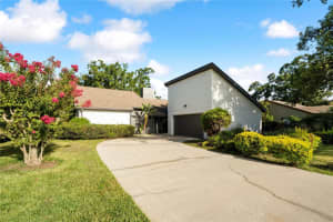 8304 Palma Vista Ln, TAMPA