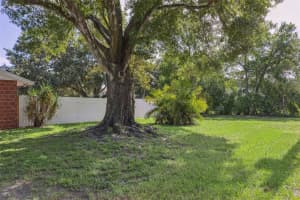 316 AZALEA AVENUE, TAMPA, FL 33612 Sold 08/31/25