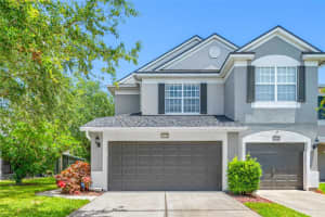 10135 Westpark Preserve Blvd, TAMPA