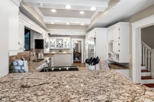 3007 ANGELES STREET, TAMPA, FL 33629 - MLS#MFRTB8409042