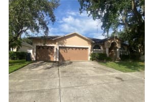 1351 Distant Oaks Dr, WESLEY CHAPEL