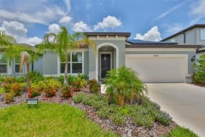 2948 Forest Meadow Ave, VALRICO