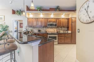 419 MISTWOOD COURT, SPRING HILL, FL 34609 - MLS#MFRTB8409067