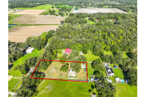 5410 THONOTOSASSA ROAD, PLANT CITY, FL 33565 - MLS#MFRTB8409090