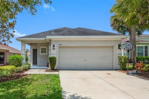 17414 New Cross Cir, LITHIA