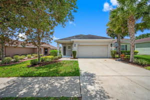 17414 NEW CROSS CIRCLE, LITHIA, FL 33547 - MLS#MFRTB8409122