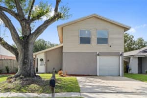4518 Millpond Ln, TAMPA