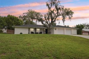 6307 CONNIEWOOD SQUARE, NEW PORT RICHEY, FL 34653 - MLS#MFRTB8409133