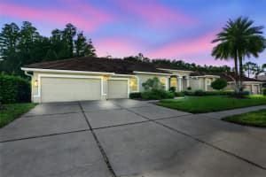 12031 Brewster Dr, TAMPA