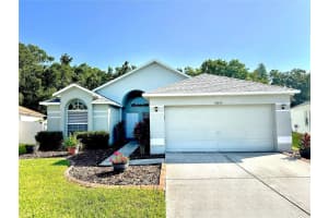 25253 GEDDY DRIVE, LAND O LAKES, FL 34639 - MLS#MFRTB8409144