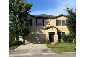 9118 Mountain Magnolia Dr, RIVERVIEW
