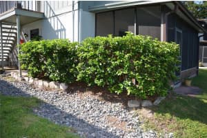 1960 UNION #19, CLEARWATER, FL 33764 - MLS#MFRTB8409152