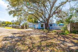 1335 15TH STREET, PALM HARBOR, FL 34683 - MLS#MFRTB8409161