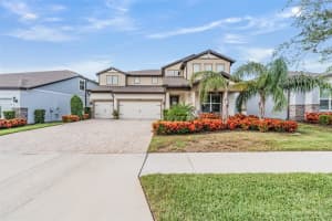 2836 Buckhorn Forest Dr, VALRICO