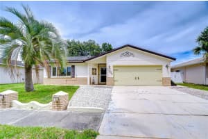 11609 Painted Hills Ln, TAMPA