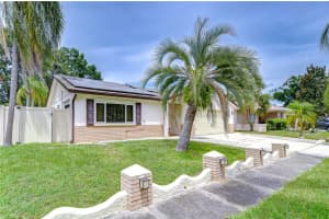 11609 PAINTED HILLS LANE, TAMPA, FL 33624 - MLS#MFRTB8409187