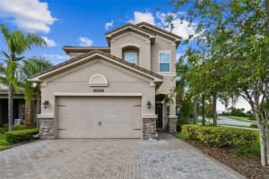 30415 Palmer Oak Dr, WESLEY CHAPEL