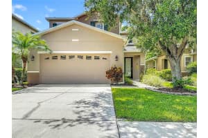 26914 STILLBROOK DRIVE, WESLEY CHAPEL, FL 33544 - MLS#MFRTB8409194