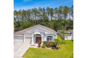 7346 CRESCENT PALM DRIVE, WESLEY CHAPEL, FL 33545 - MLS#MFRTB8409197