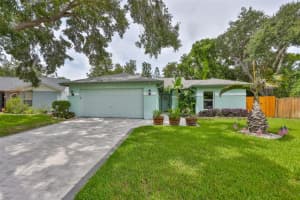 11823 Cedarfield Dr, RIVERVIEW