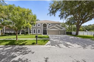 15717 BEREA DR, ODESSA, FL 33556 - MLS#MFRTB8409234