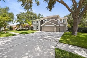 15717 BEREA DR, ODESSA, FL 33556 - MLS#MFRTB8409234