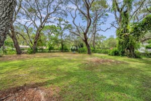 11324 BLACK WALNUT STREET, HUDSON, FL 34669 - MLS#MFRTB8409269