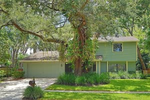 16813 Rolling Rock Dr, TAMPA