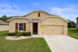 11910 LITTLE VIOLET CIRCLE, RIVERVIEW, FL 33578 - MLS#MFRTB8409278