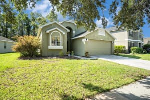 11808 COLONY LAKES BOULEVARD, NEW PORT RICHEY, FL 34654 - MLS#MFRTB8409325
