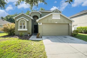 11808 COLONY LAKES BOULEVARD, NEW PORT RICHEY, FL 34654 - MLS#MFRTB8409325