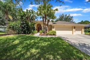 5803 Tanagerside Rd, LITHIA 5803 Tanagerside Rd, LITHIA