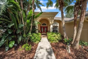 5803 TANAGERSIDE ROAD, LITHIA, FL 33547 - MLS#MFRTB8409358