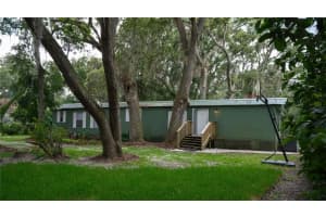 12006 Deerfoot Pl, THONOTOSASSA