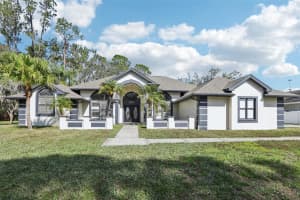 1010 Emerald Creek Dr, VALRICO