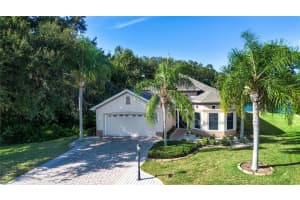 730 CAMELLIA GREEN DRIVE, SUN CITY CENTER, FL 33573 - MLS#MFRTB8409390